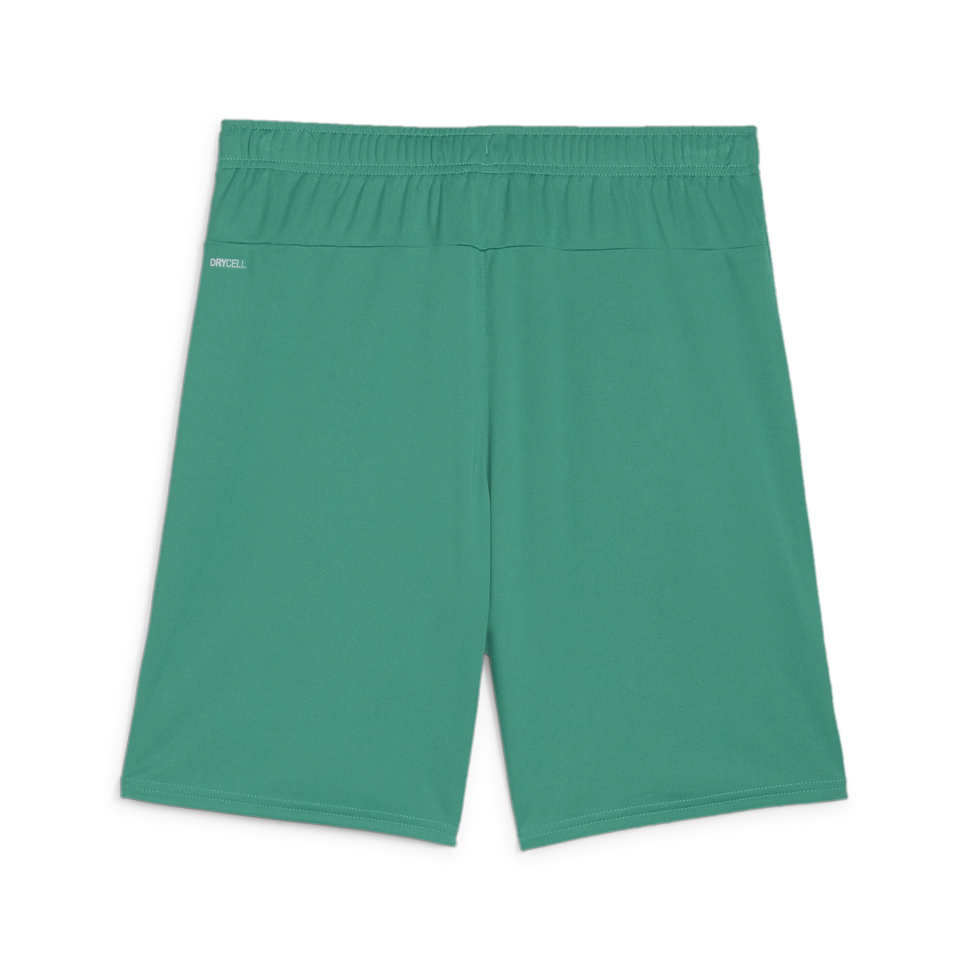 1.FC Rieden PUMA teamGoal Shorts – Bild 2