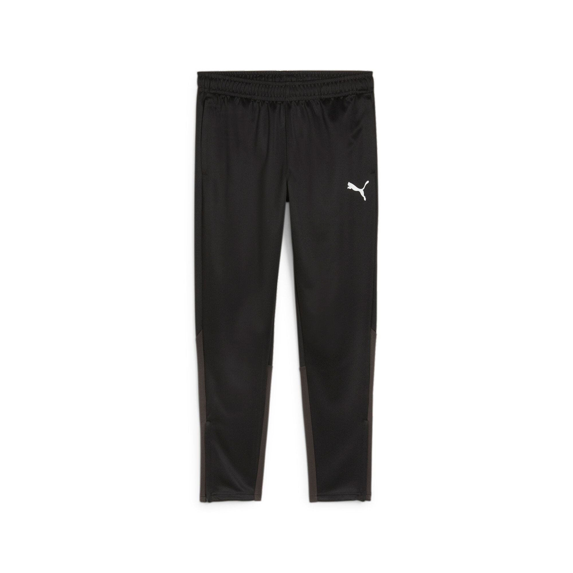 1.FC Rieden PUMA teamGoal Trainings Hose