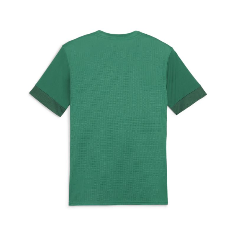 1.FC Rieden PUMA teamGOAL Matchday Shirt – Bild 2