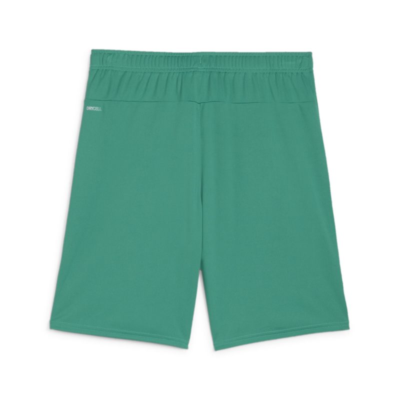1.FC Rieden PUMA teamGoal Shorts – Bild 2