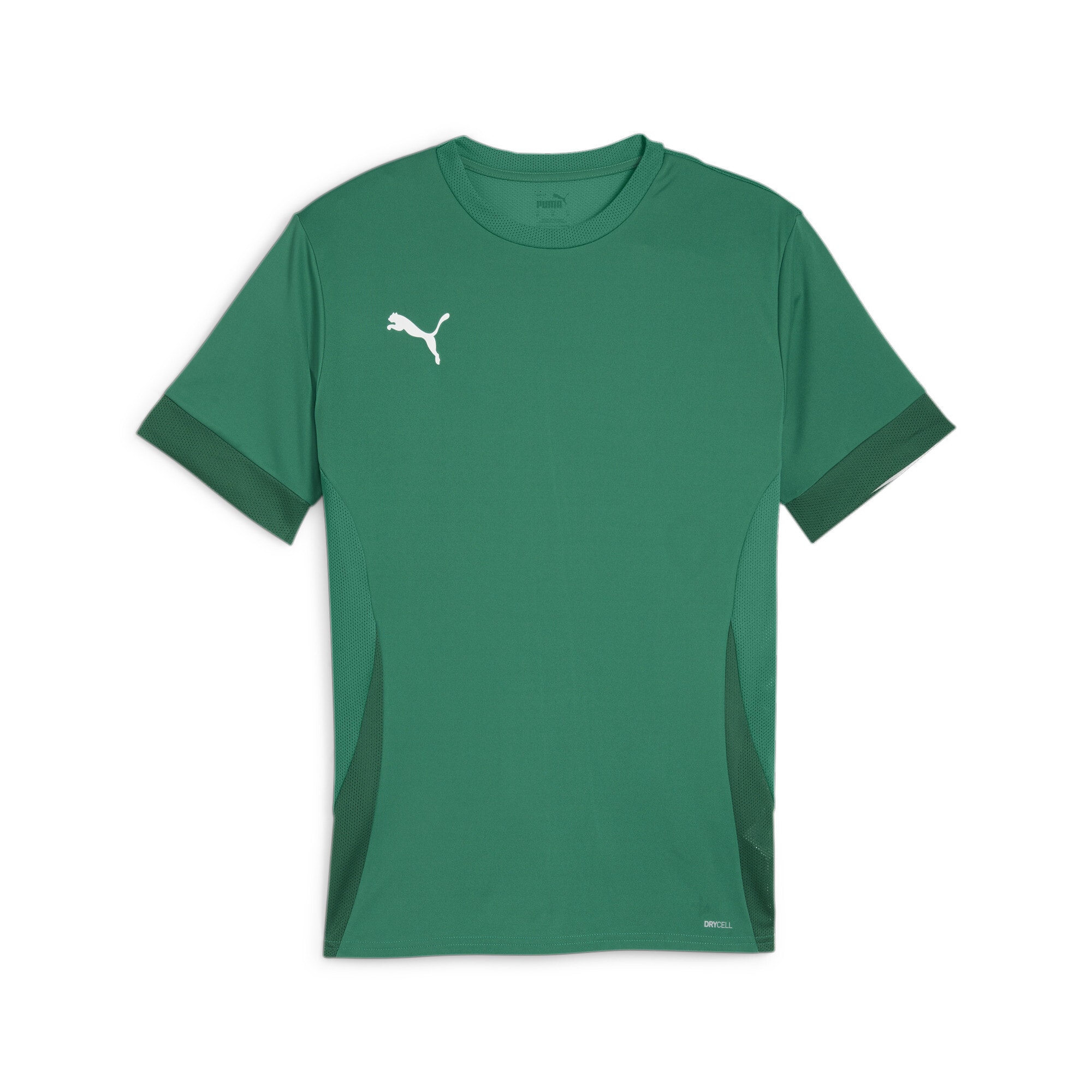 1.FC Rieden PUMA teamGOAL Matchday Shirt