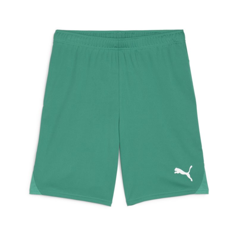 1.FC Rieden PUMA teamGoal Shorts